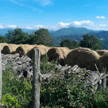 Holiday home Vi Sentirete Nel West! Drusco