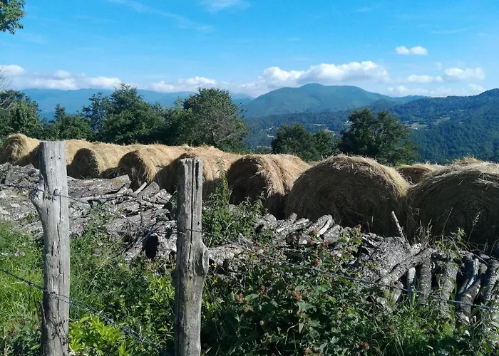 Feriehus Vi Sentirete Nel West! Drusco